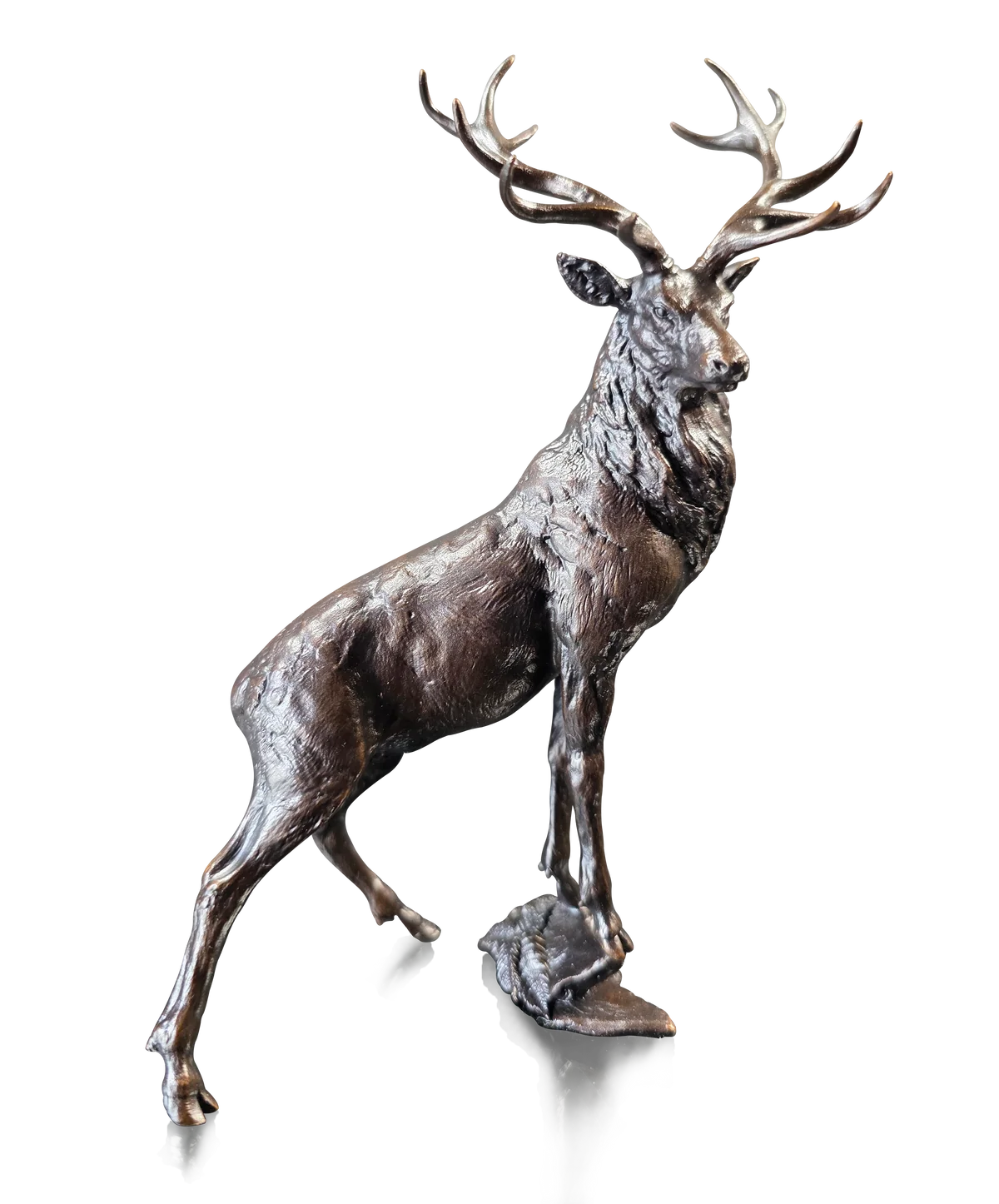 High Wilderness limited edition Bronze
