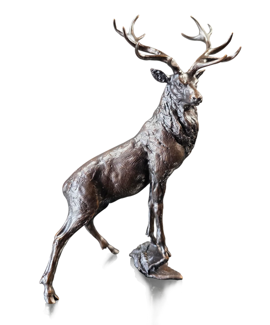 High Wilderness limited edition Bronze