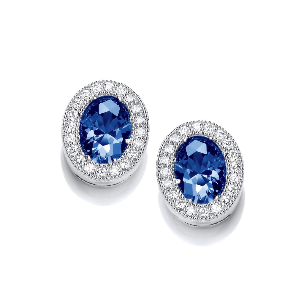 Silver & Cubic Zirconia timeless elegance Earrings