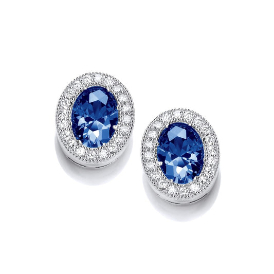 Silver & Cubic Zirconia timeless elegance Earrings