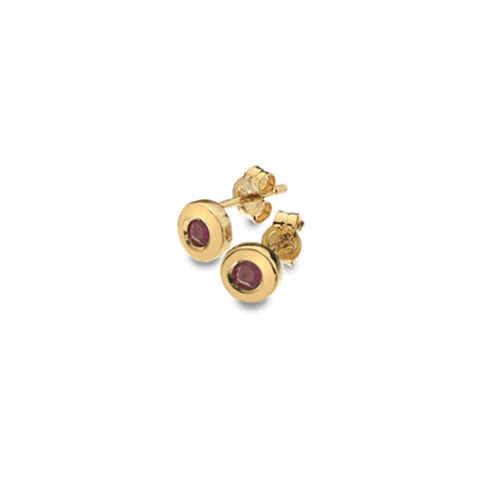 9ct Gold and Ruby round stud earrings
