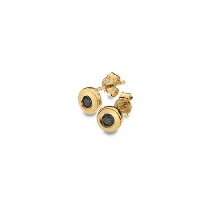 9ct Gold and Sapphire round stud earrings