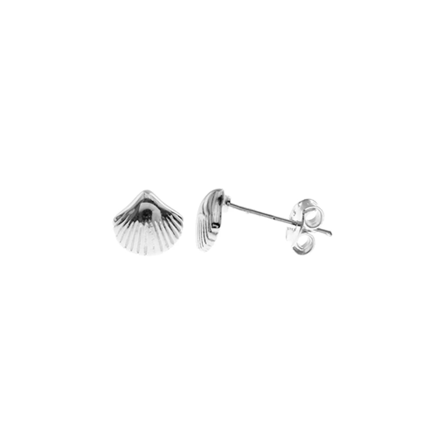 Silver small cockle shell stud earrings.