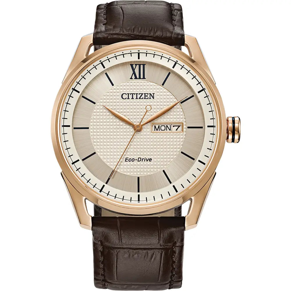Gents Citizen Eco-Drive watch