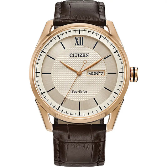 Gents Citizen Eco-Drive watch