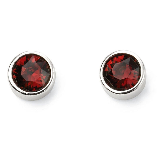 Silver and Crystal Birthstone Stud Earrings -January