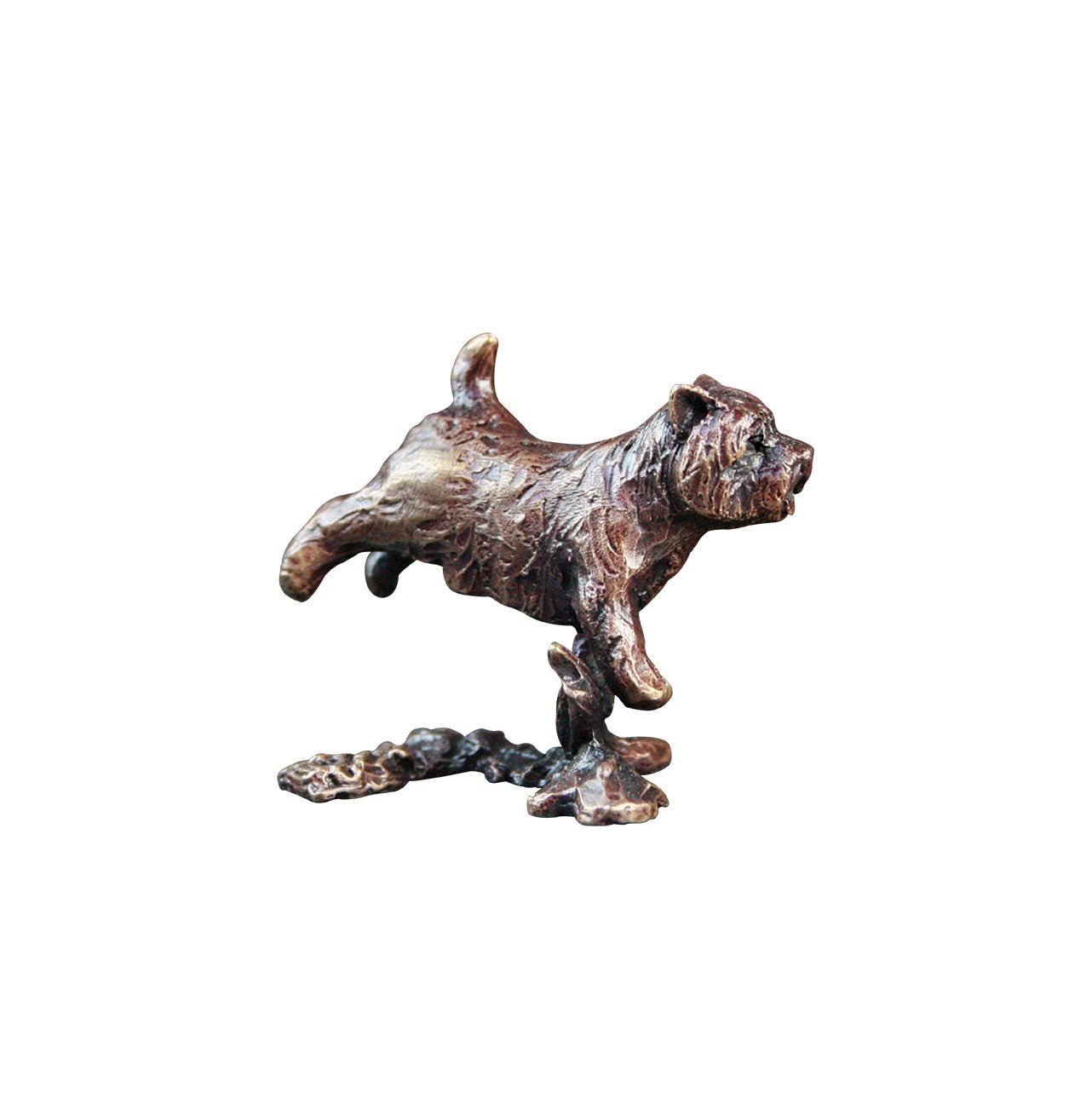 Westie Bronze