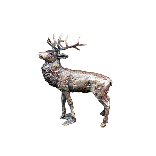 Stag Bronze