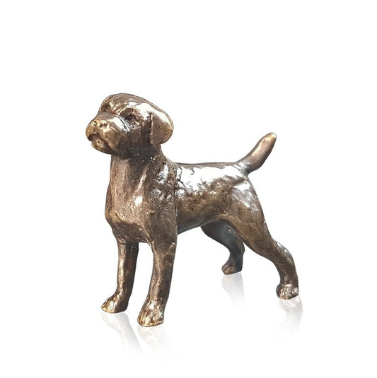 Boarder Terrier Bronze