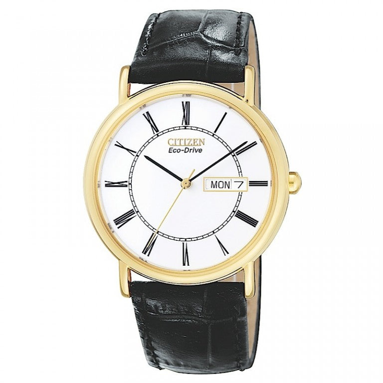 Gents Citizen Eco-Drive strap Watch