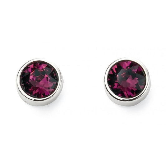 Silver and Crystal Birthstone Stud Earrings -February