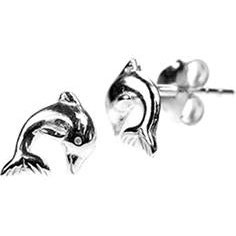 Silver Dolphin Stud Earrings.