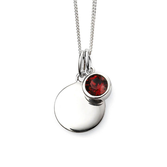 Silver and Crystal Birthstone Pendant -January