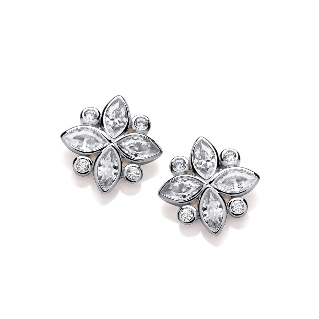 Silver & Cubic Zirconia Shine Bright Earrings