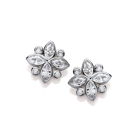Silver & Cubic Zirconia Shine Bright Earrings