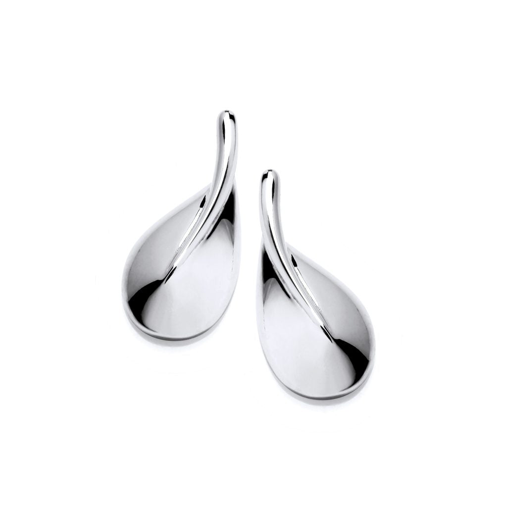 Silver Abstract Curve Earrings