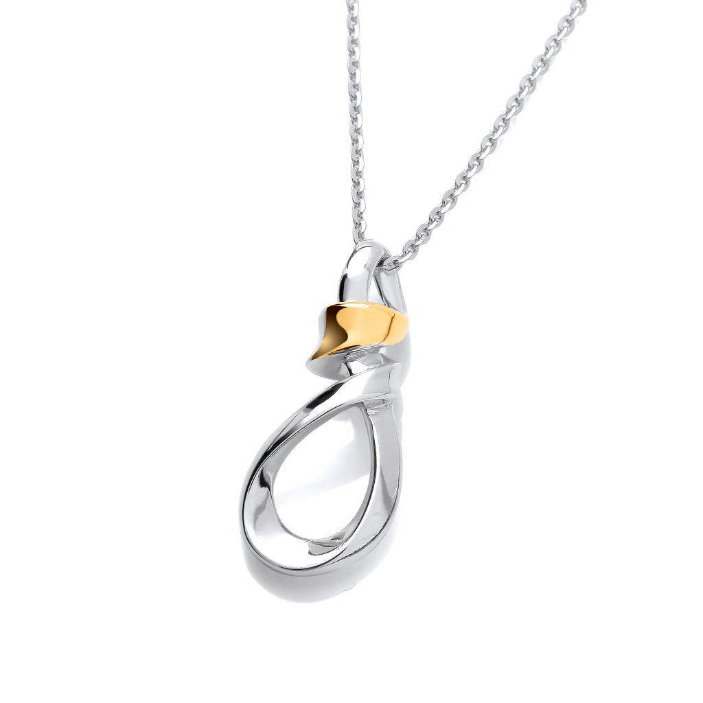 Silver & Gold detail Loop Drop Pendant