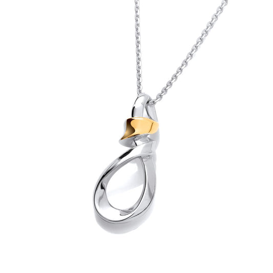 Silver & Gold detail Loop Drop Pendant
