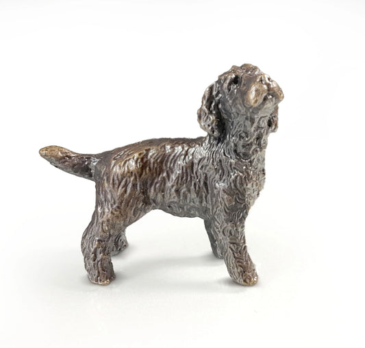 “Cockapoo” Bronze