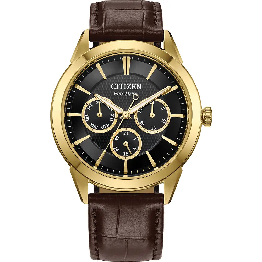 Gents Citizen Eco-Drive watch