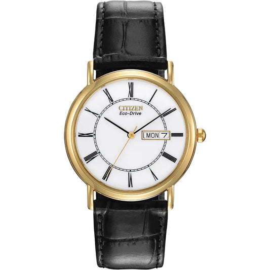 Gents Citizen Eco-Drive strap Watch.