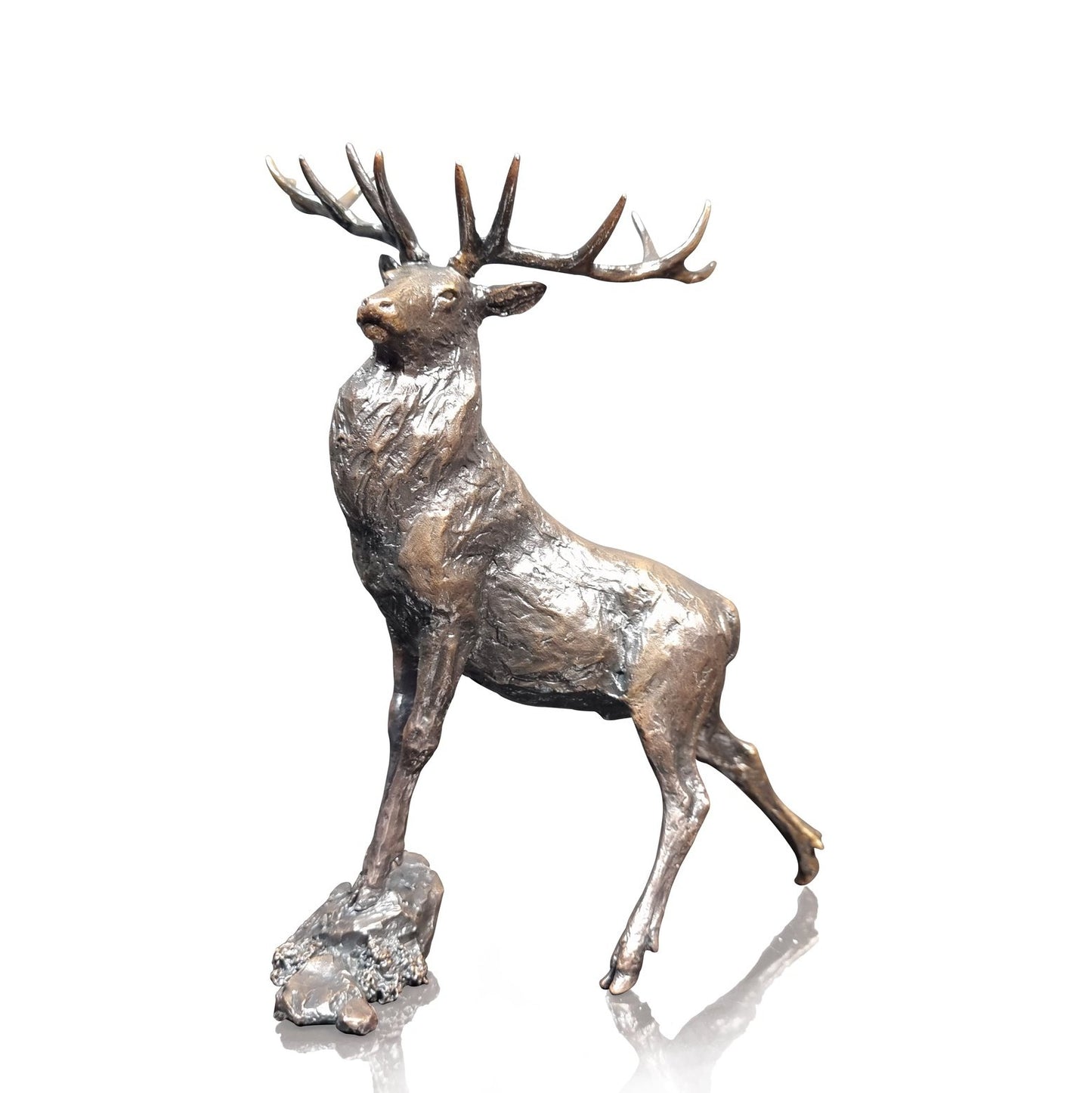 'Highland Prince' Bronze