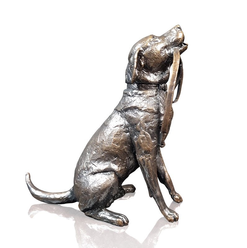 Labrador with Lead Bronze
